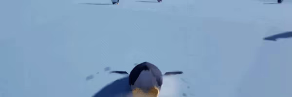 Penguin, but why? video 4