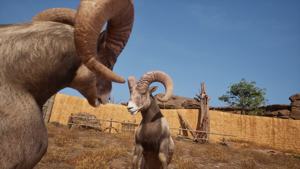 Ram Fights Demo screenshot 2