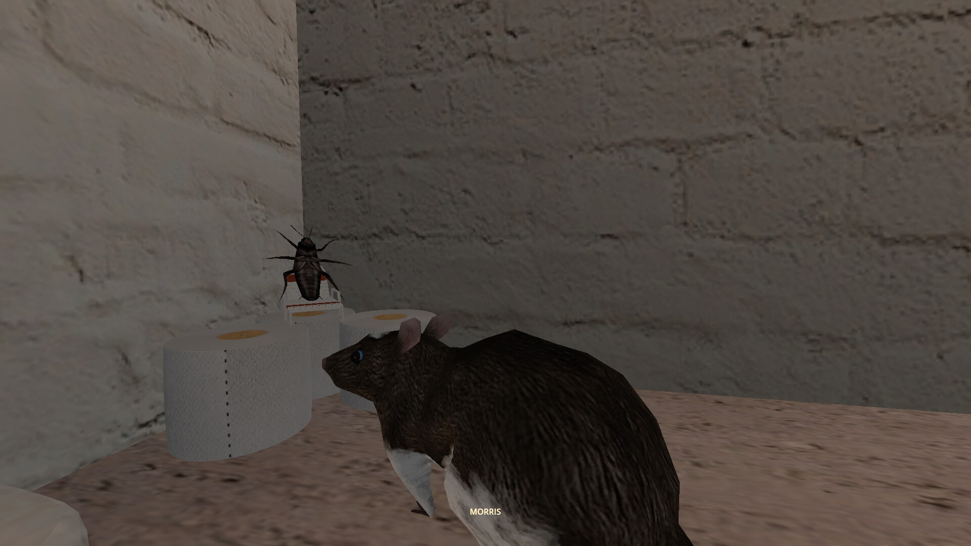 CLAM screenshot 9