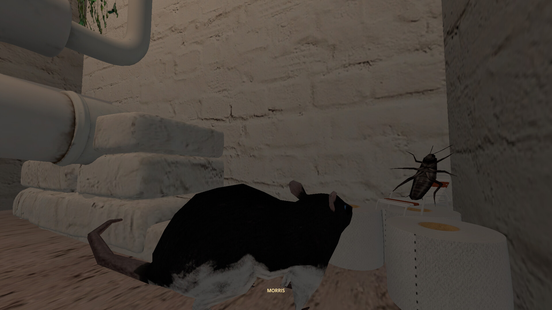 CLAM screenshot #8