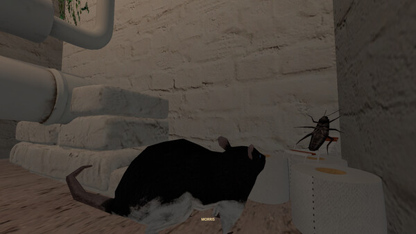 CLAM screenshot 8