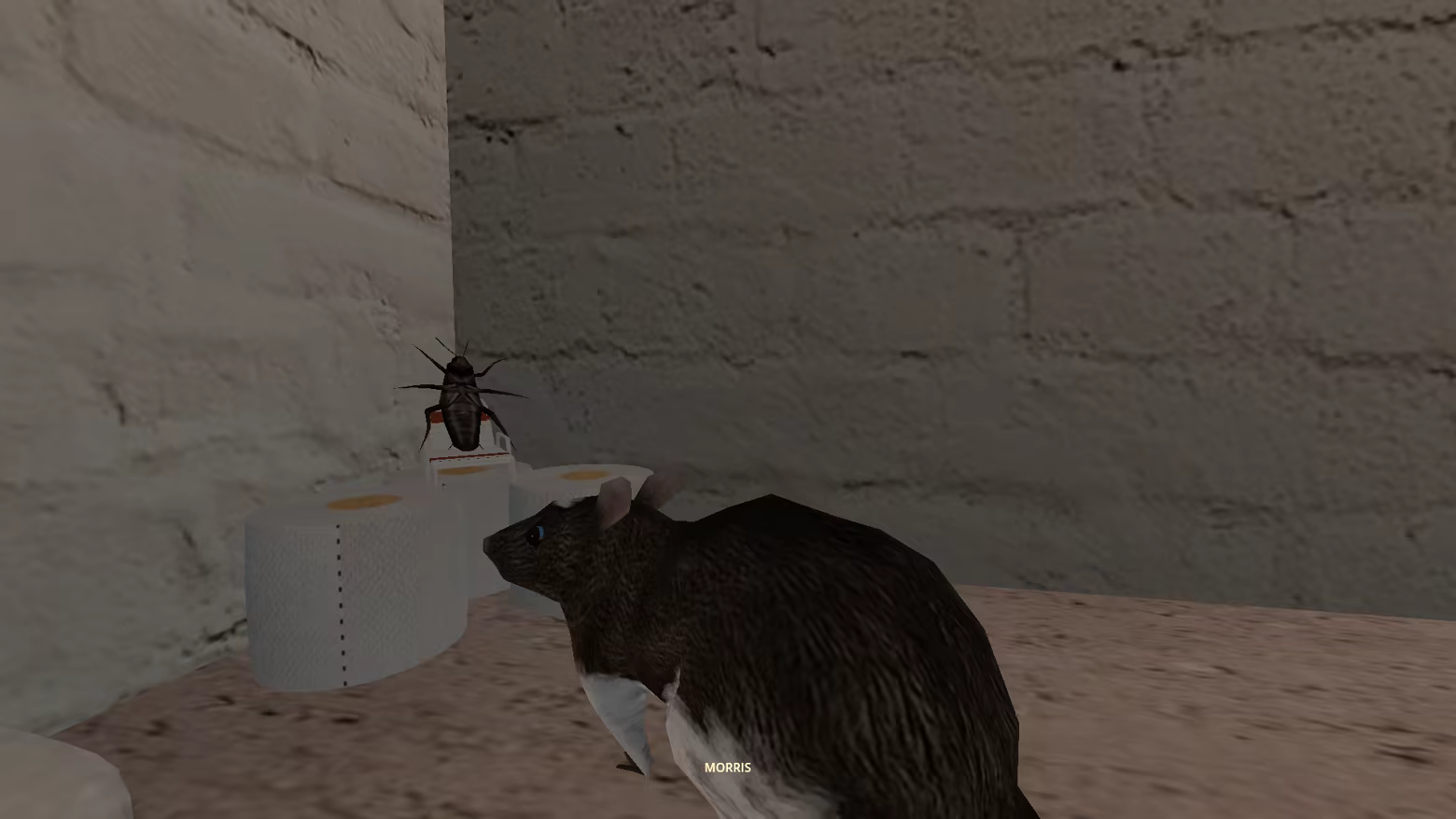 CLAM screenshot 5