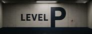 Level P