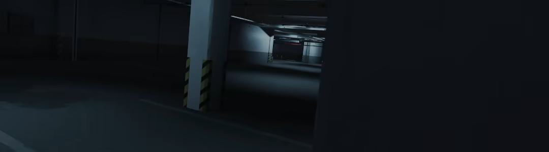 Level P video 1