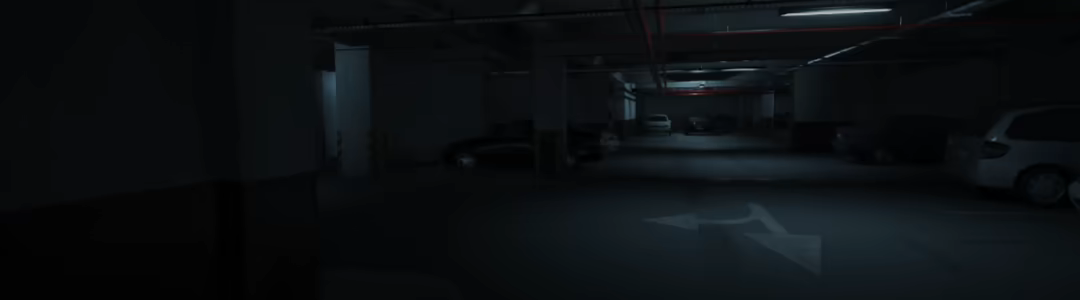 Level P video 2