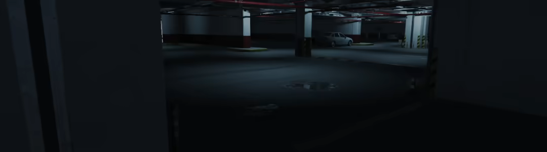 Level P video 3