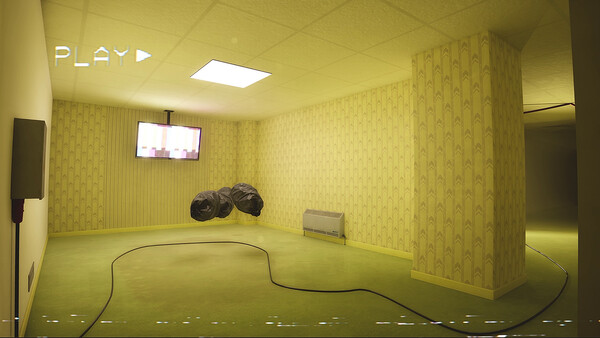 Backrooms Anomaly Project — 5