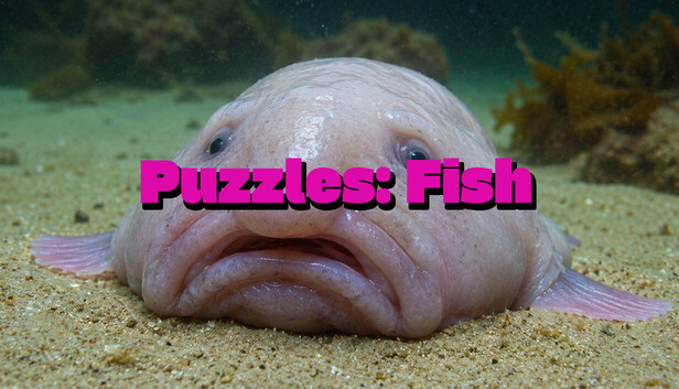 Puzzles: Fish