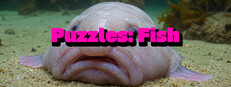 Puzzles: Fish cover