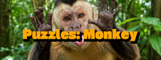 Puzzles: Monkey