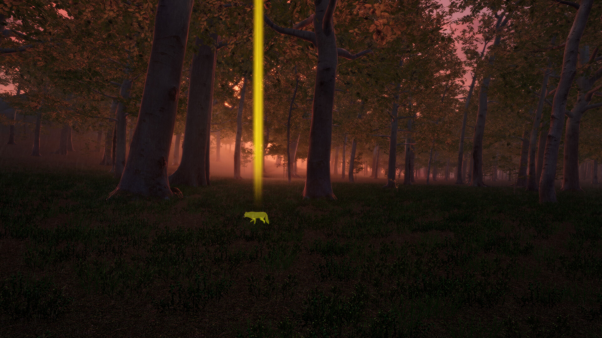 screenshot-10