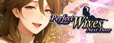 Perfect Wives Next Door cover