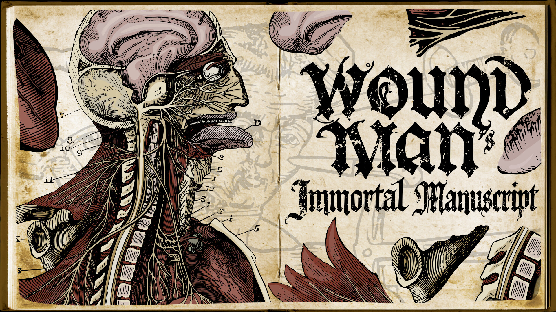 Wound Man - Supporter Pack Featured Screenshot #1