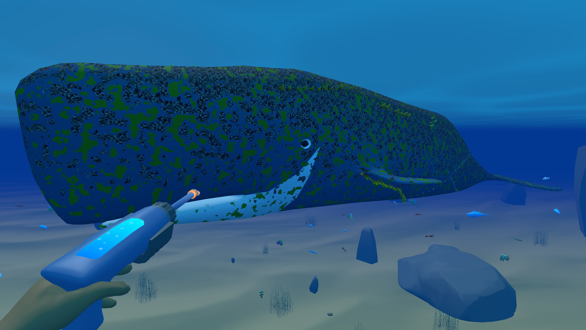 Bodian's Bay Wash screenshot #2