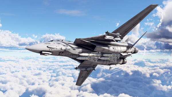 War Thunder - F-14D Pack