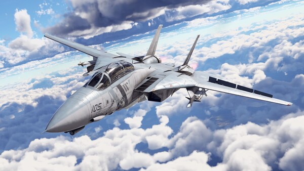 War Thunder - F-14D Pack
