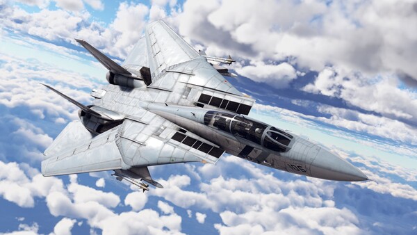 War Thunder - F-14D Pack