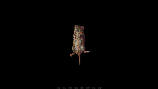 Outside the pile of leaf litter screenshot 1