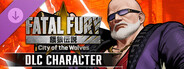 DLC: FATAL FURY CotW - DLC Character 