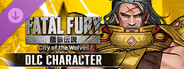DLC: FATAL FURY CotW - DLC Character 