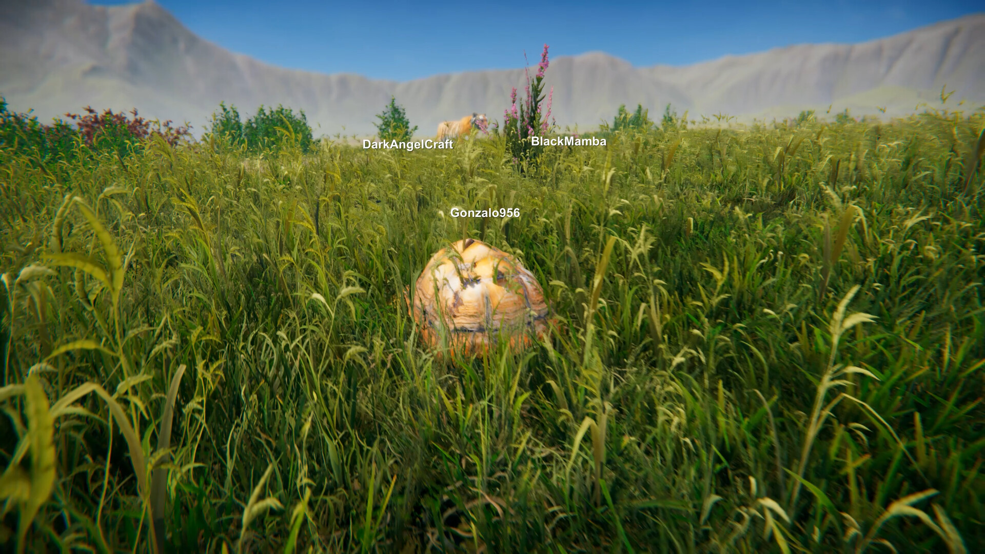 Turtles on Crocodiles Featured Screenshot #1