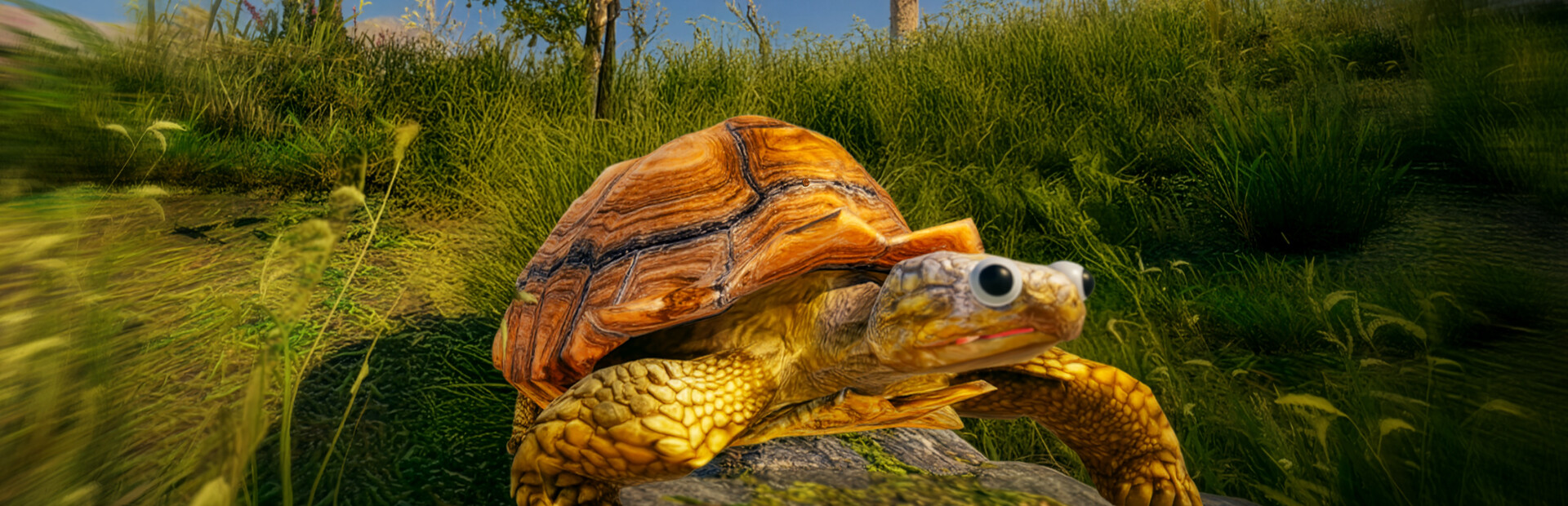 Turtles on Crocodiles