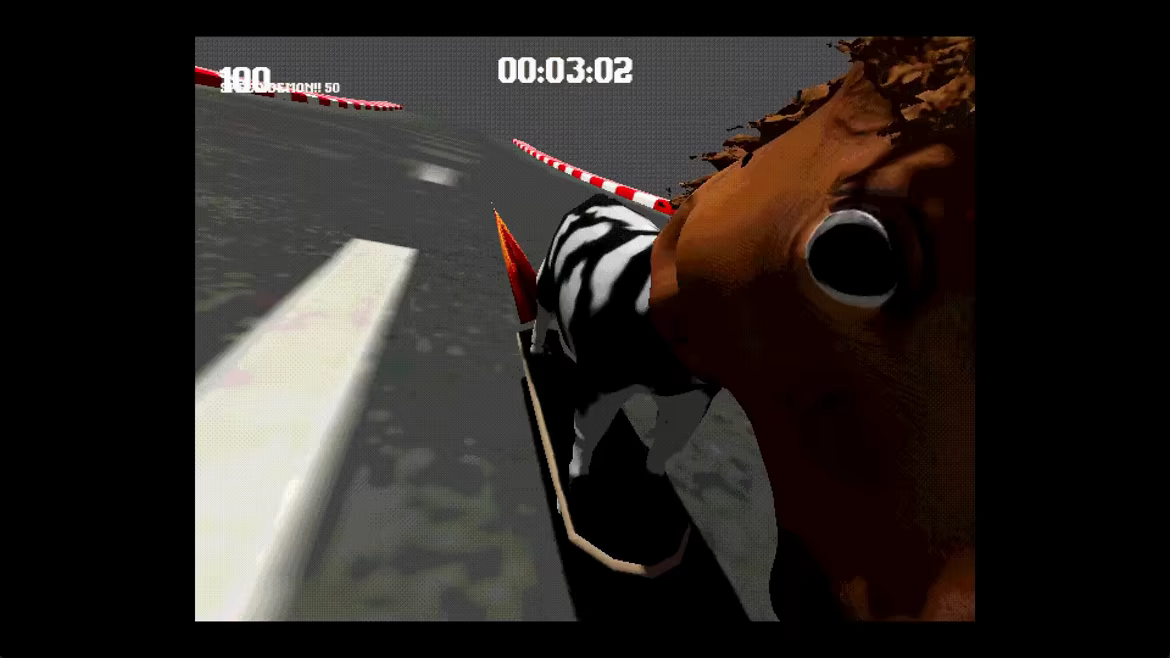 Cow video 1