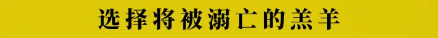 选择将被溺亡的羔羊