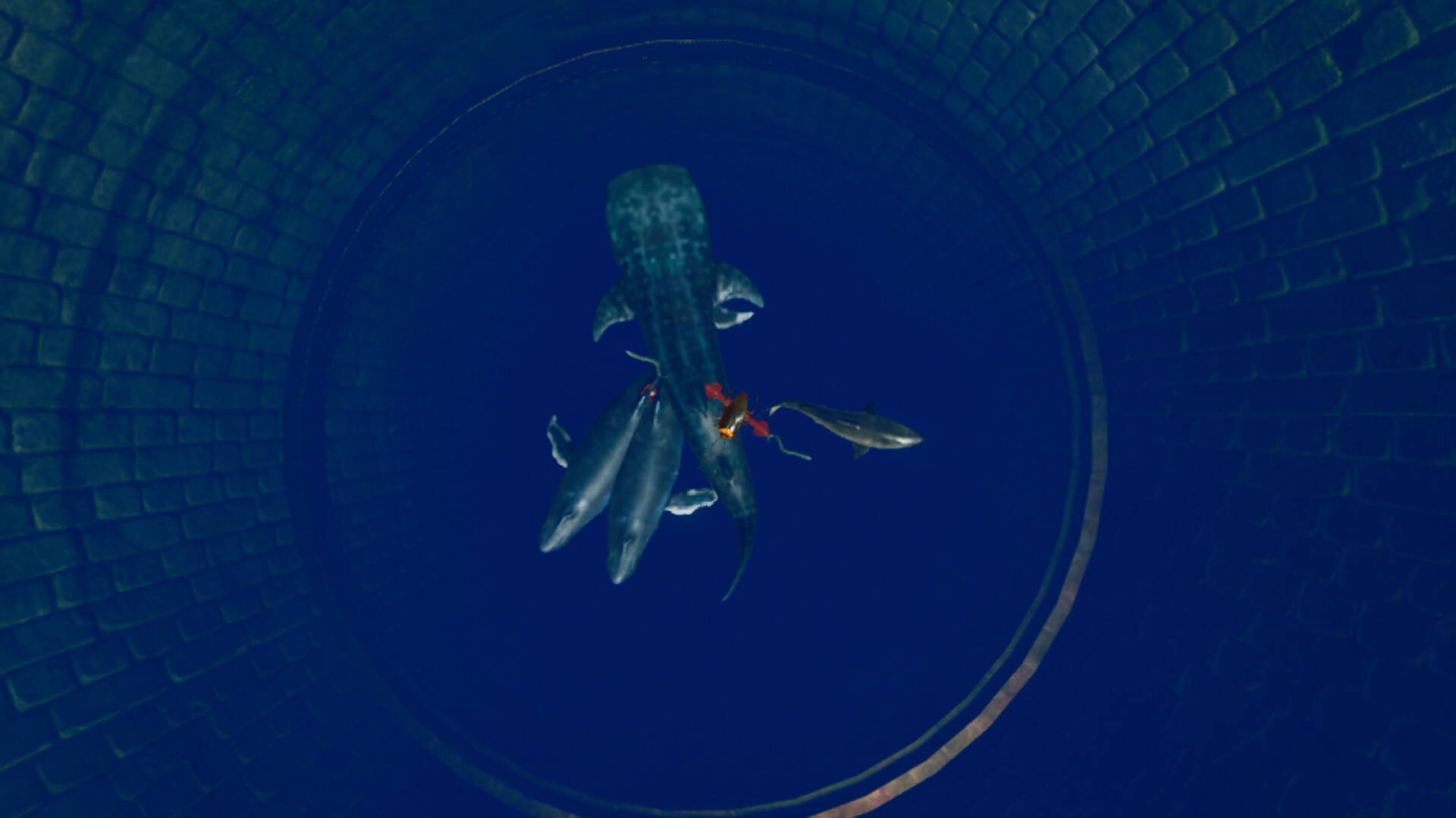 Cockroach Simulation screenshot 11