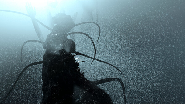 The Shimoda Rift — 1