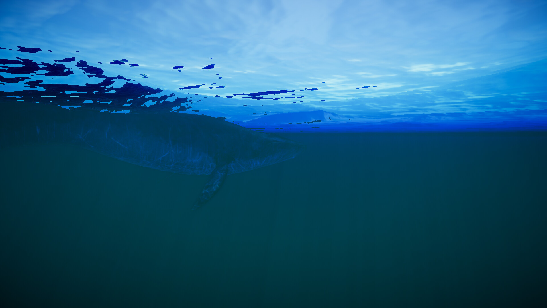 Still Wild screenshot 13