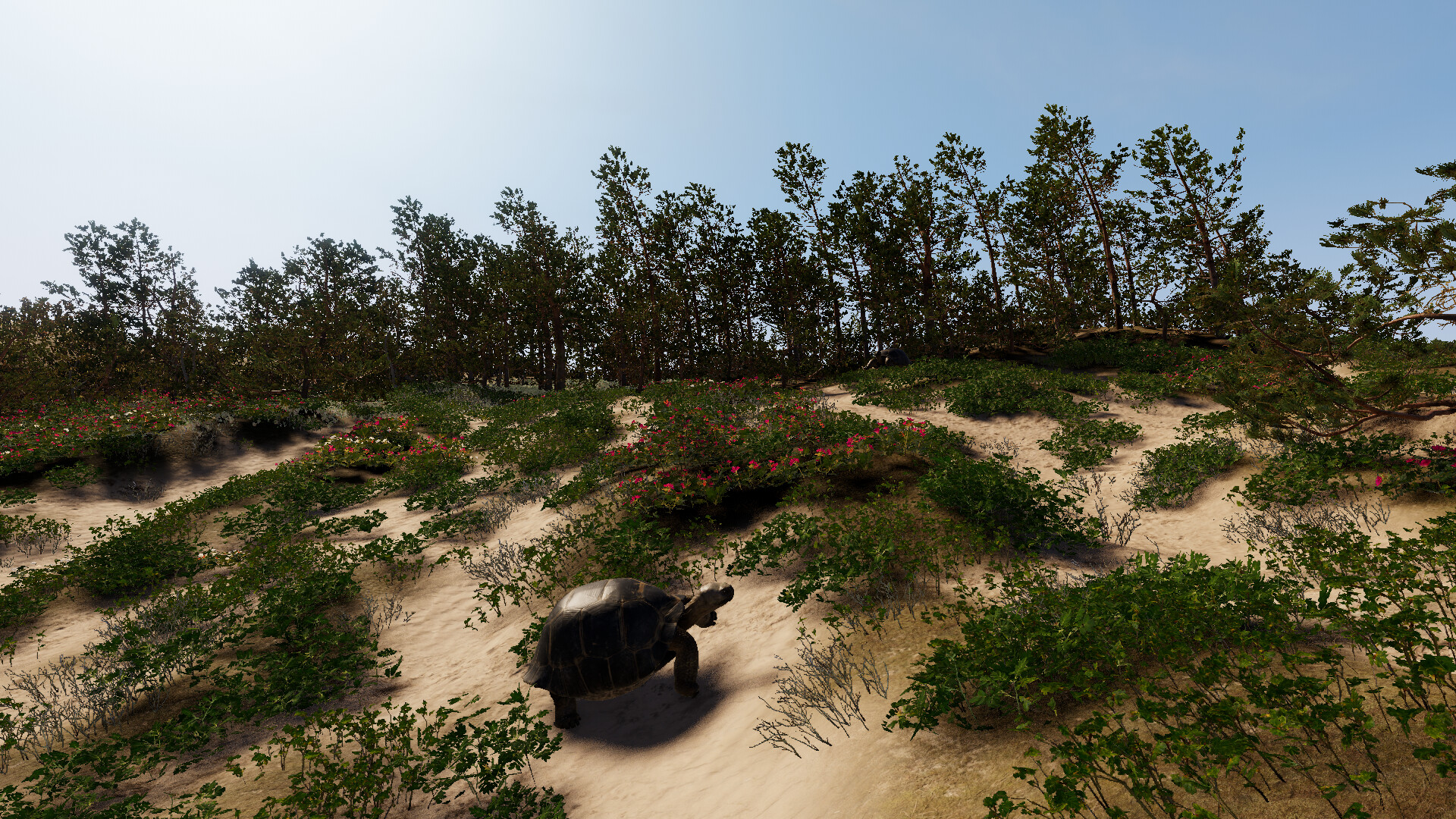 Still Wild screenshot 14