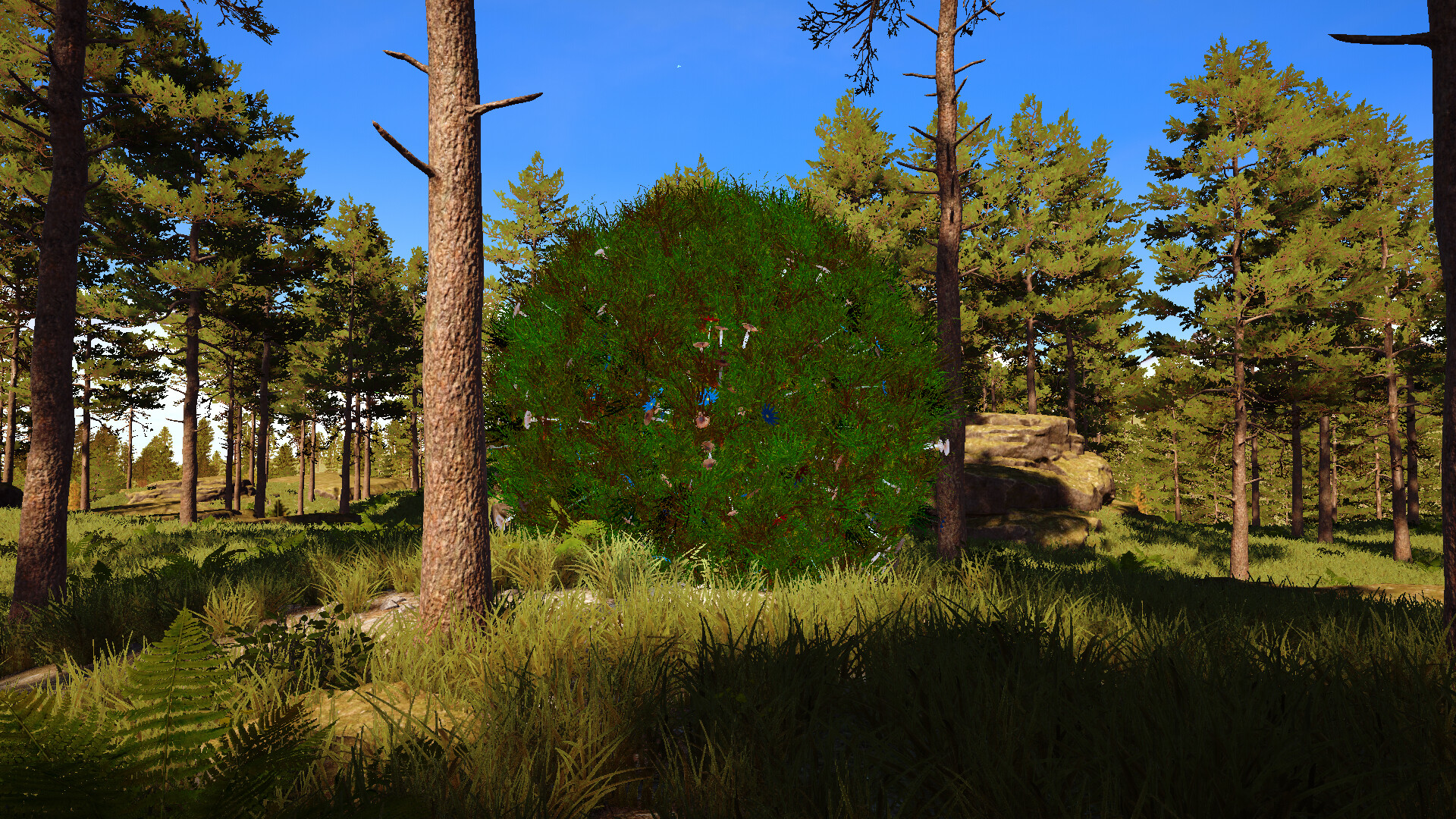 Still Wild screenshot 11