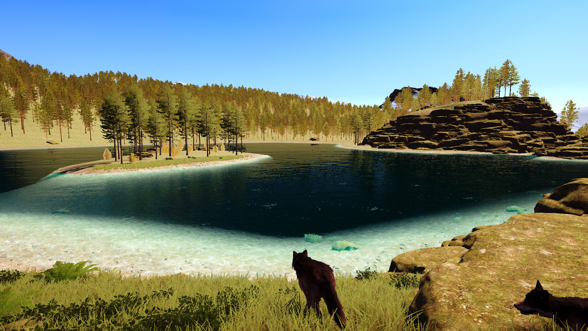 Still Wild screenshot 2