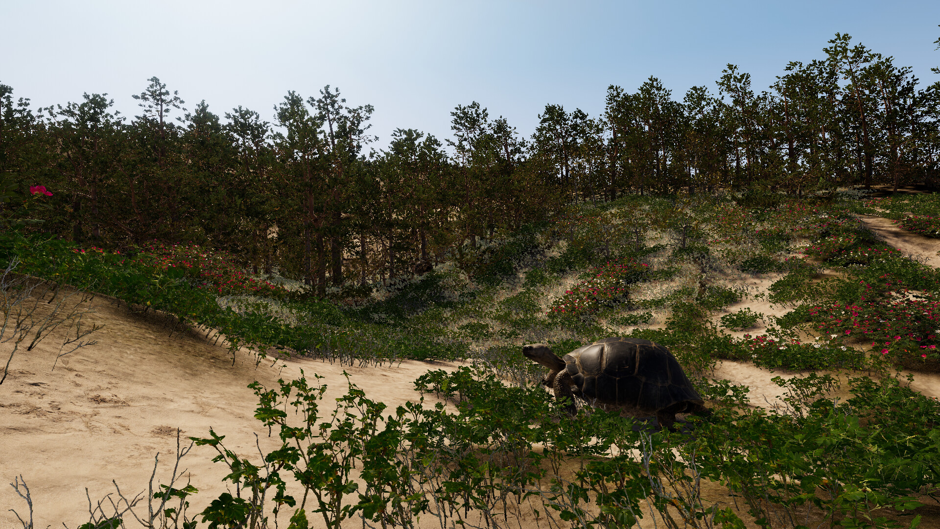 Still Wild screenshot 9