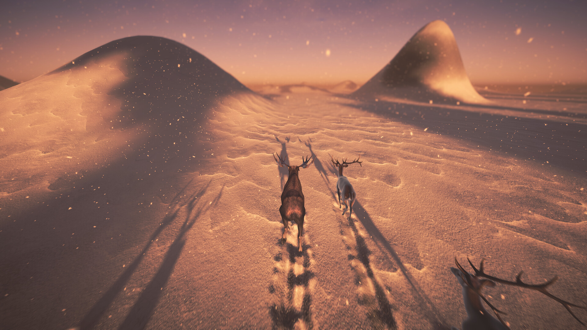 Moose Migration screenshot 6