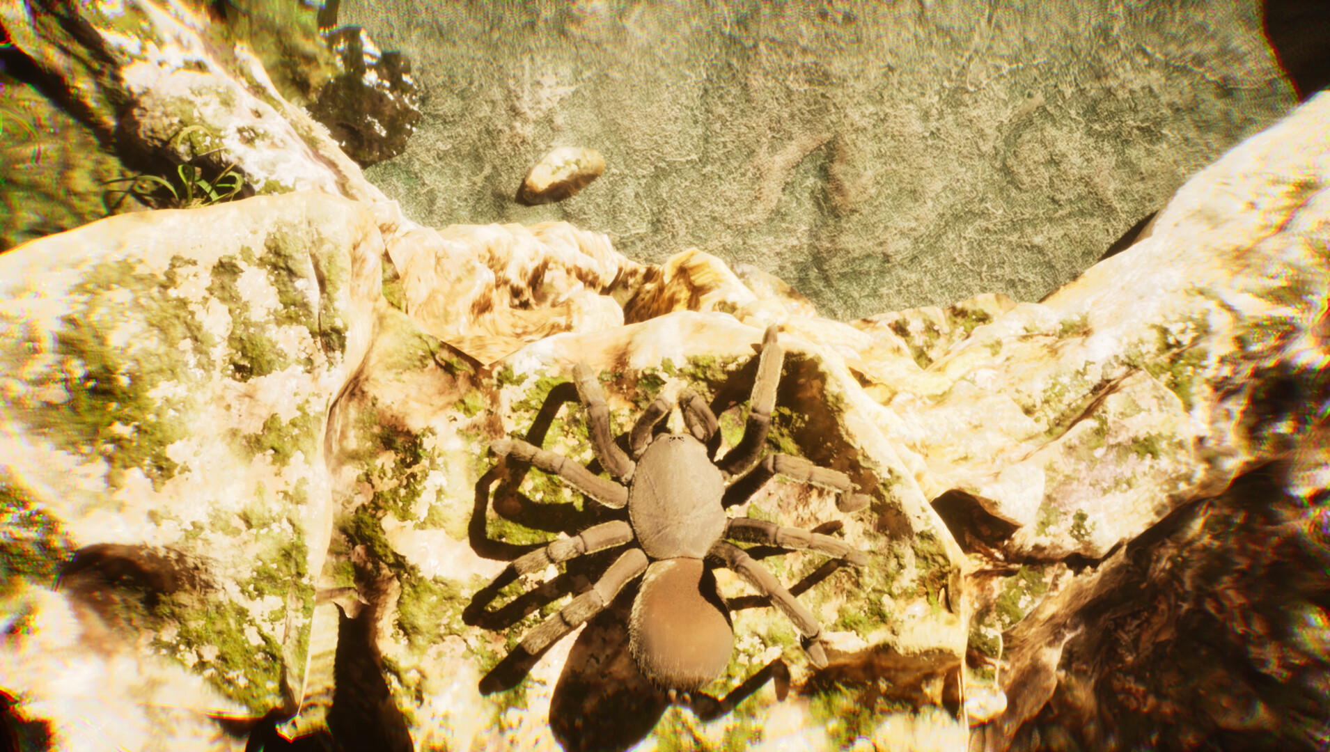 The Undergrowth screenshot #4