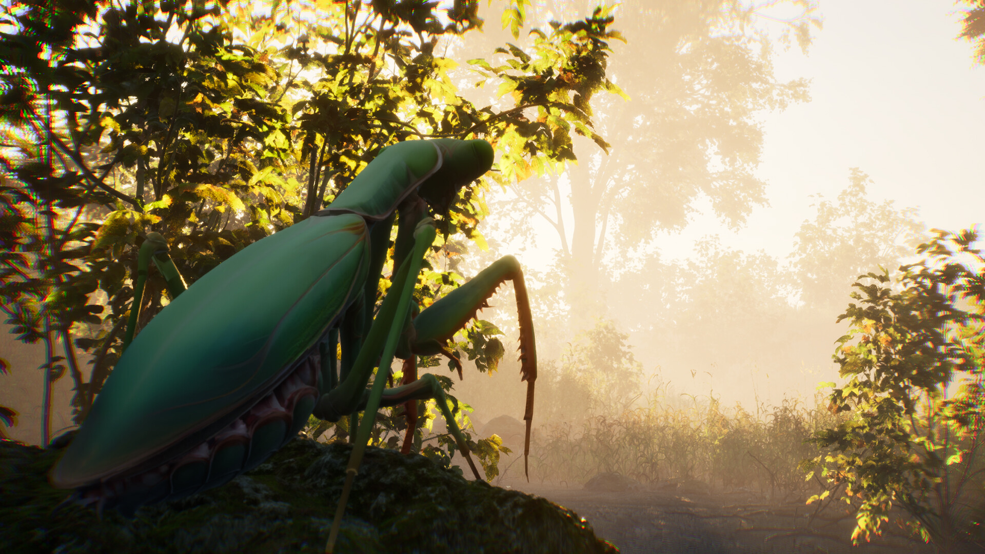 The Undergrowth screenshot #3
