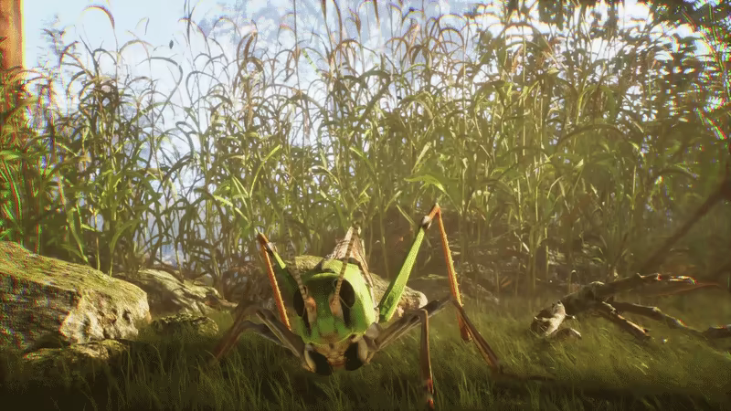 TheUndergrowth video 8