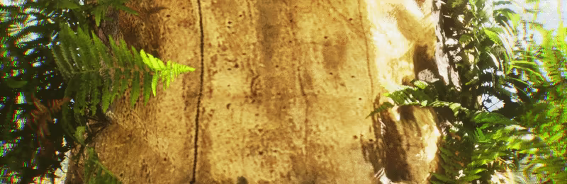 TheUndergrowth video 4