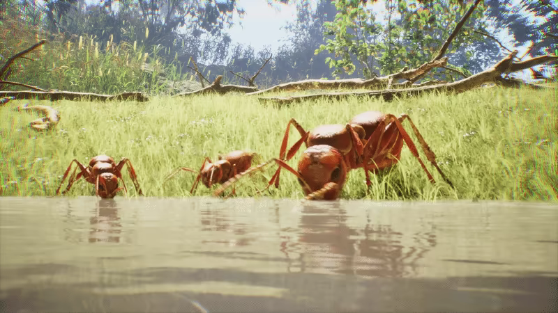 TheUndergrowth video 12