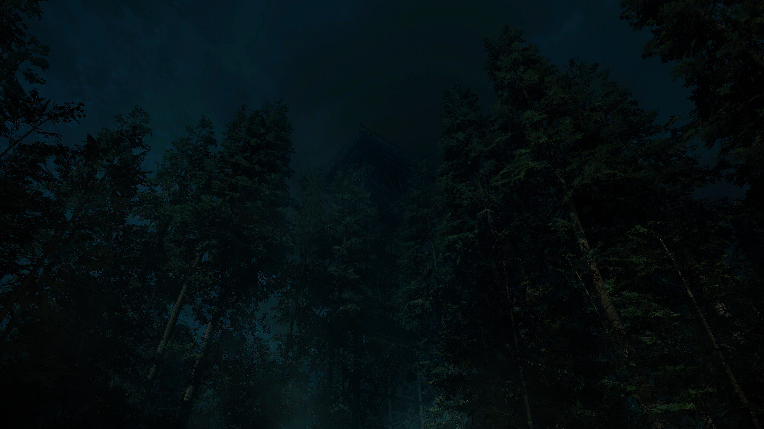 Forest Lookout