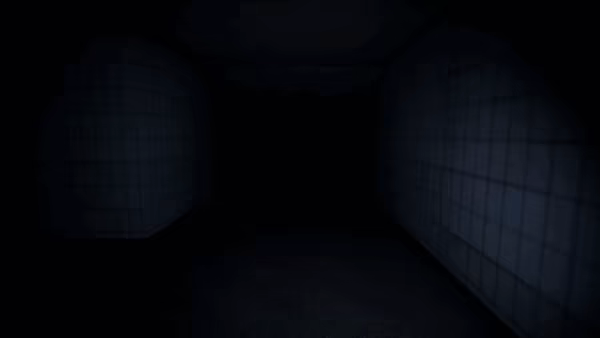 The Inspector video 1