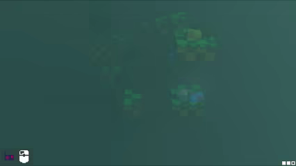 PITH video 2