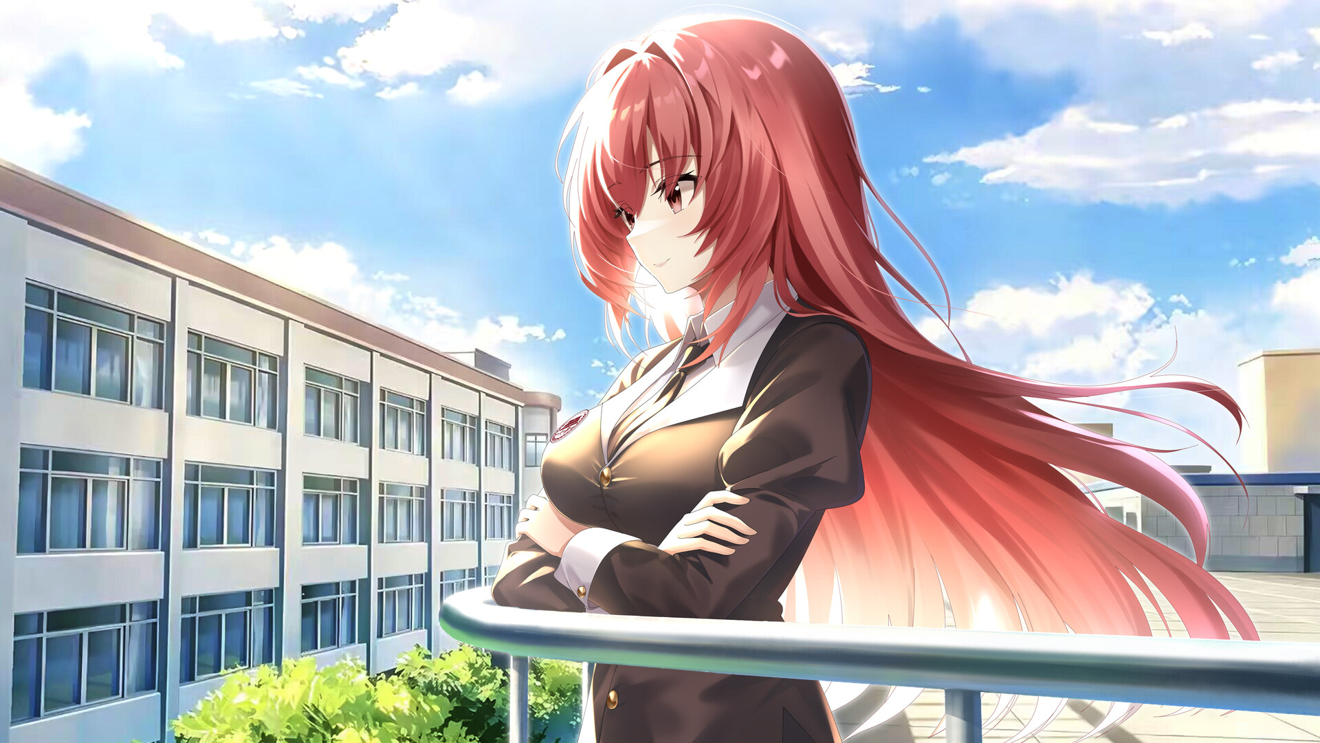 DaoNoKa hide screenshot 11