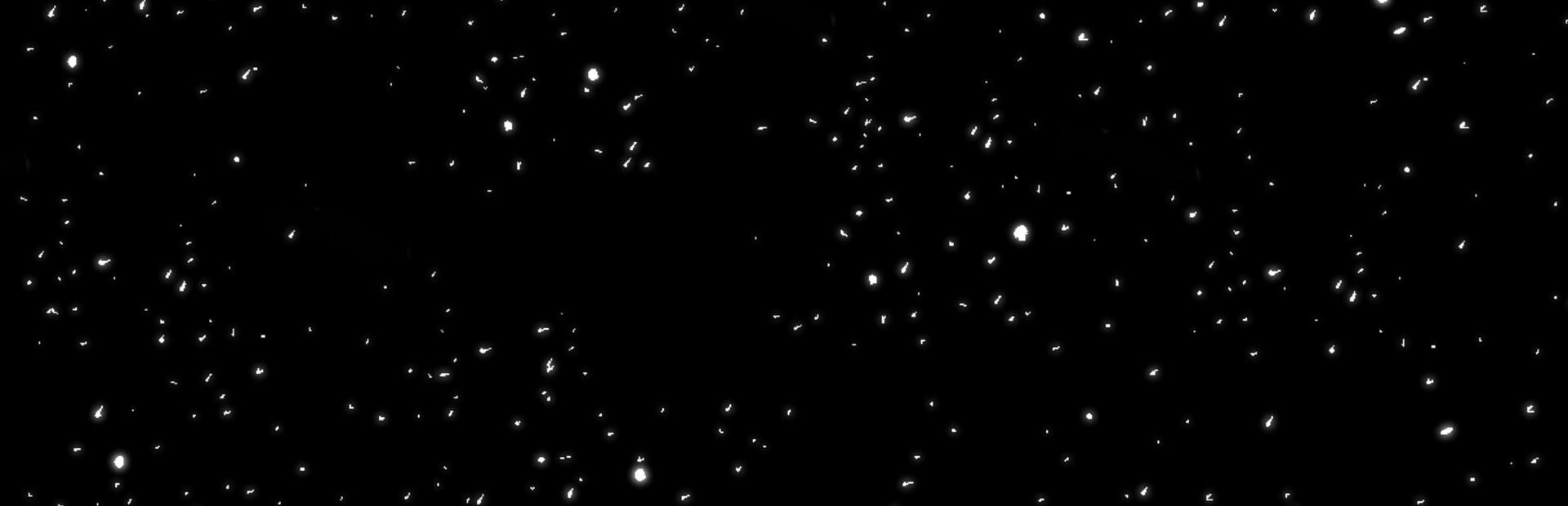 Forgotten Stars