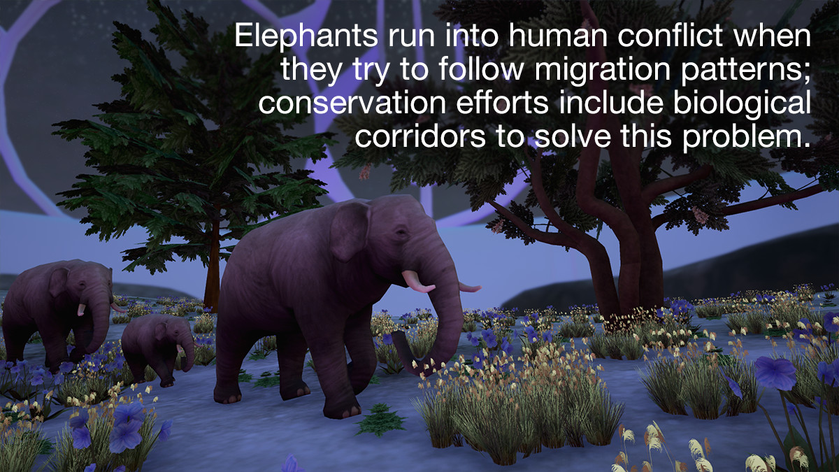 Tyto Ecology - Himalayas Ecosystem screenshot 3
