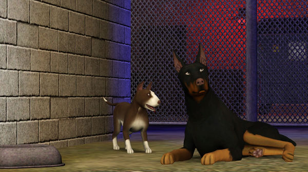 KHAiHOM.com - The Sims™ 3 Pets