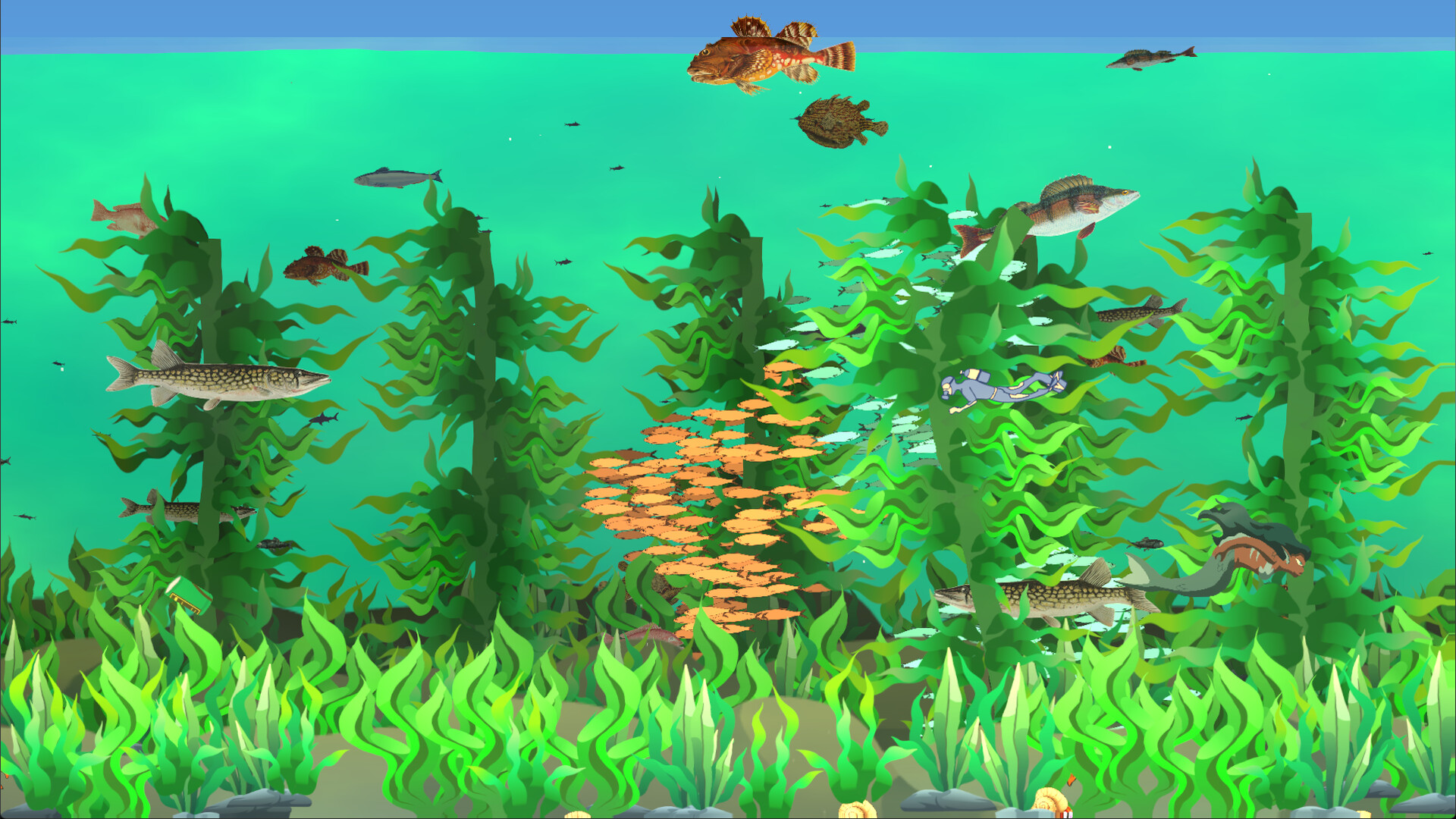 Fishtographers