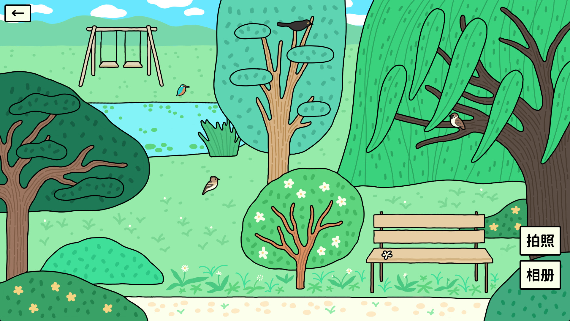 Bird Sense screenshot 2